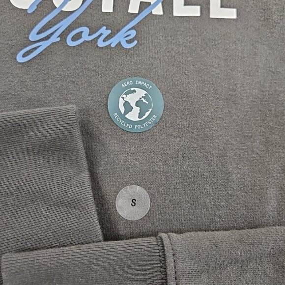 NWT Aeropostale Logo Hoodie Men's Small Grey Kangaroo Pockets NEW Original Blend - Picture 6 of 14